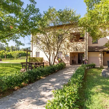 Lovely In With Wifi Apartment